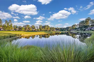 39 Paxton Cir, Bluffton, SC 29910 - Photo 47