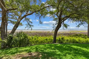 10 Herring Gull Ln, Hilton Head Island, SC 29926 - Photo 69