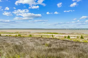 10 Herring Gull Ln, Hilton Head Island, SC 29926 - Photo 71