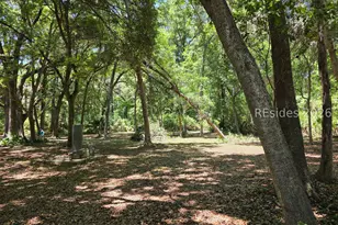 321 Old Haig Point Rd, Daufuskie Island, SC 29915 - Photo 17