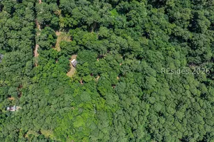 321 Old Haig Point Rd, Daufuskie Island, SC 29915 - Photo 17