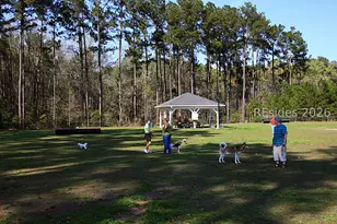 36 Reedy Pl, Bluffton, SC 29909 - Photo 57