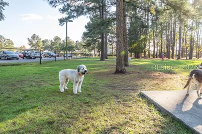 238 Colonel Thomas Heyward Road, Bluffton, SC 29909 - Photo 63