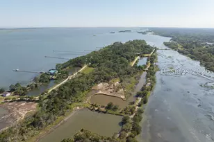 100 Little Horse Is Dr, Saint Helena Island, SC 29920 - Photo 31
