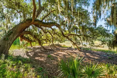 2255 Plantation Drive, Beaufort, SC 29902 - Photo 43