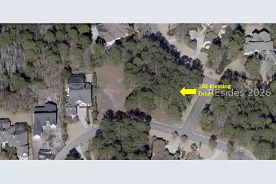 102 Blessing Drive, Bluffton, SC 29909 - Photo 3
