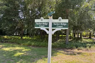 29 Tucker Ridge Ct, Hilton Head Island, SC 29926 - Photo 1