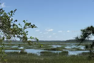 12 Dolphin Ln, Okatie, SC 29909 - Photo 61