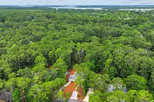 30 Sweet Bay Ln, Hilton Head Island, SC 29926 - Photo 59