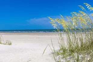 10 Collier Beach Rd, Hilton Head Island, SC 29928 - Photo 57