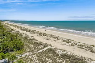5 Junket, Hilton Head Island, SC 29928 - Photo 79