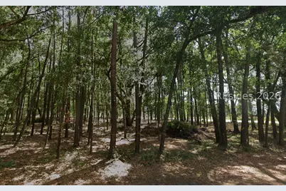 6008 Green Pond Drive, Beaufort, SC 29906 - Photo 5