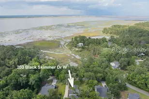 203 Black Skimmer Dr W, Beaufort, SC 29907 - Photo 3