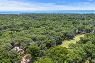 9 Fort Walker Dr, Hilton Head Island, SC 29928 - Photo 59