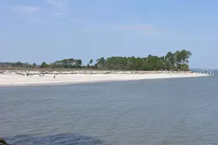 21 Rusty Rail Ln, Hilton Head Island, SC 29926 - Photo 55