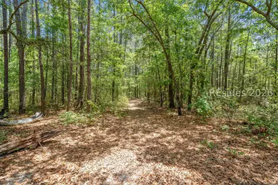 3958 Pineland Road, Varnville, SC 29944 - Photo 43