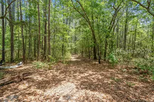 3958 Pineland Rd, Varnville, SC 29944 - Photo 43