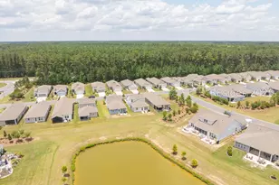 859 Destiny Dr, Bluffton, SC 29909 - Photo 49