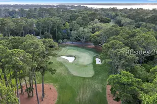 5 Wood Duck Ct, Hilton Head Island, SC 29928 - Photo 59