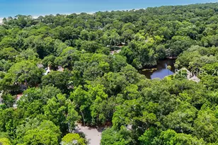 45 Night Heron Ln, Hilton Head Island, SC 29928 - Photo 25