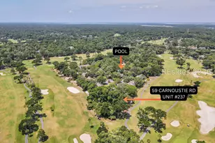59 Carnoustie Rd, Hilton Head Island, SC 29928 - Photo 33