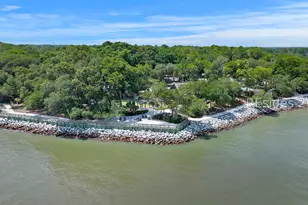 9 Water Thrush Pl, Hilton Head Island, SC 29926 - Photo 77