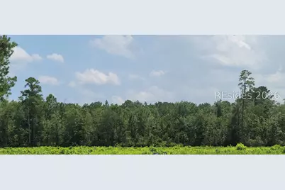 Tbd Toomerville Loop, Hardeeville, SC 29927 - Photo 3