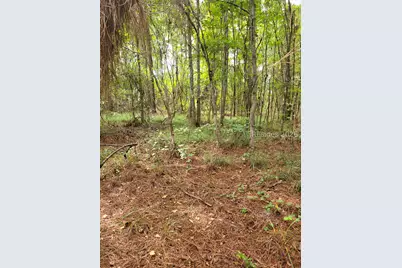 Tbd Toomerville Loop, Hardeeville, SC 29927 - Photo 5