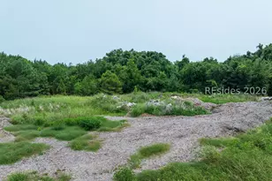Tbd Promise Ln, Beaufort, SC 29907 - Photo 27