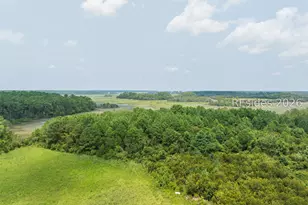 Tbd Promise Ln, Beaufort, SC 29907 - Photo 29