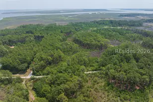 Tbd Carissa Ln, Beaufort, SC 29007 - Photo 11