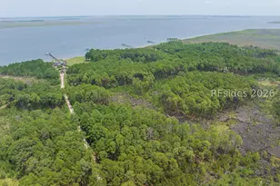 Tbd Carissa Ln, Beaufort, SC 29007 - Photo 29