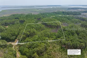 Tbd Carissa Ln, Beaufort, SC 29007 - Photo 17