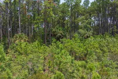 Tbd Carissa Lane, Beaufort, SC 29007 - Photo 9
