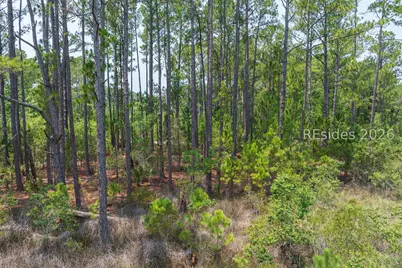 Tbd Carissa Lane, Beaufort, SC 29007 - Photo 25