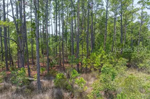 Tbd Carissa Ln, Beaufort, SC 29007 - Photo 25