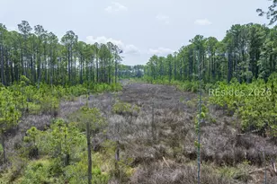 Tbd Carissa Ln, Beaufort, SC 29007 - Photo 27