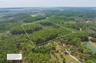 Tbd Carissa Ln, Beaufort, SC 29007 - Photo 33