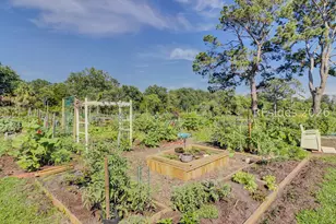 41 Willow Oak Rd W, Hilton Head Island, SC 29928 - Photo 75