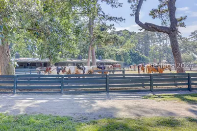 41 Willow Oak Road W, Hilton Head Island, SC 29928 - Photo 77