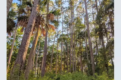 170 Old Haig Point Road, Daufuskie Island, SC 29915 - Photo 65