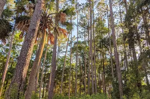 170 Old Haig Point Rd, Daufuskie Island, SC 29915 - Photo 65