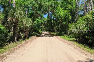 170 Old Haig Point Rd, Daufuskie Island, SC 29915 - Photo 57