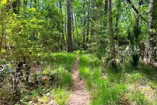 170 Old Haig Point Rd, Daufuskie Island, SC 29915 - Photo 75