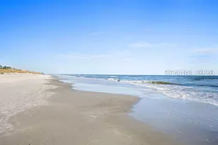 63 Shipyard Dr, Hilton Head Island, SC 29928 - Photo 53