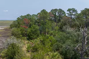 72 Canine Dr, Beaufort, SC 29907 - Photo 35
