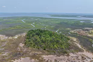72 Canine Dr, Beaufort, SC 29907 - Photo 21