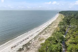 161 Avenue of Oaks, Daufuskie Island, SC 29915 - Photo 45