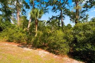 5 Gumtree Rd, Hilton Head Island, SC 29926 - Photo 33