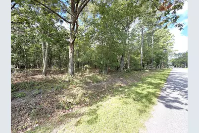 76 Honey Drive, Walterboro, SC 29488 - Photo 7